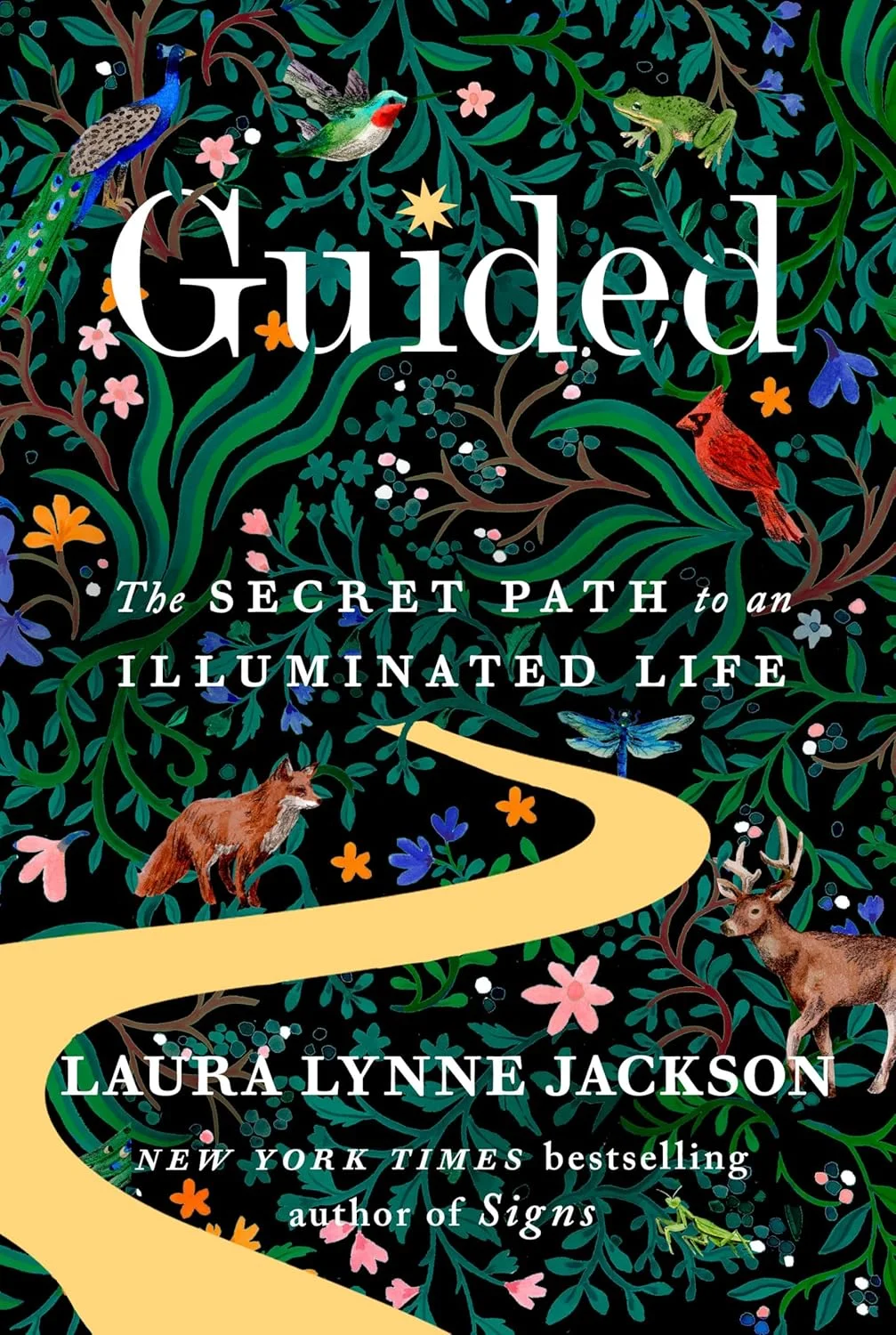 Book cover for The Secret Path to an Illuminated Life by Laura Lynne Jackson